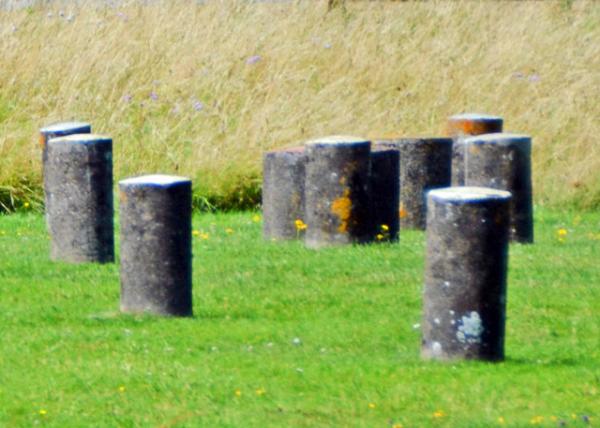 2016-07-19_Woodhenge_Timber Cicles ľ��Ȧ-30001.JPG