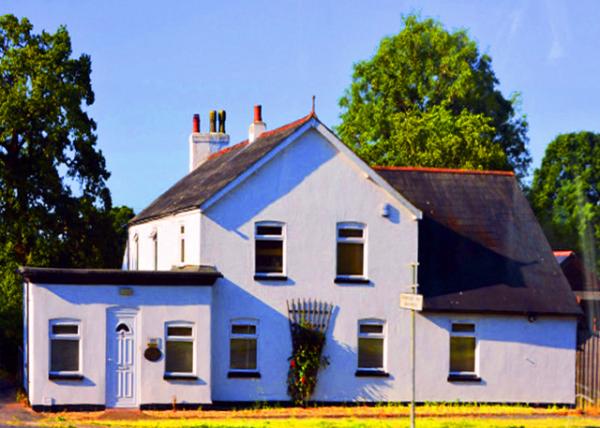 2016-07-19_Totton near New Forest NP ��ɭ�ֹ��ҹ�԰�������ж���-10001.JPG