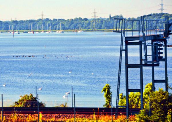 2016-07-19_Southampton_River Test ��˹�غ�-10001.JPG