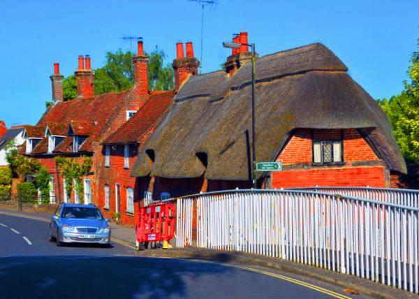 2016-07-19_Ringwood_Thatching Houses é����-20001.JPG