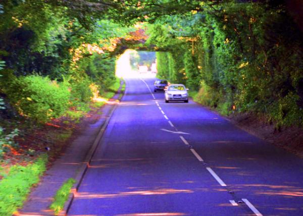 2016-07-19_Dark Hedges �ڰ�����0001.JPG