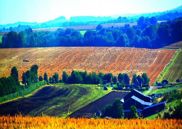 2016-07-19_Countryside_Madrigal ��ͳ����l0001.JPG