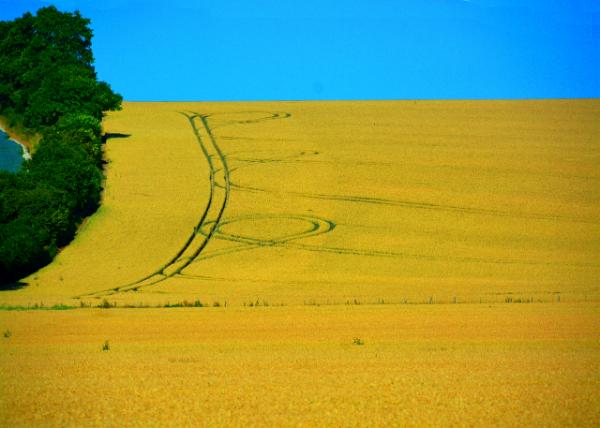 2016-07-19_Countryside_Crop Circles ��Ȧ0001.JPG