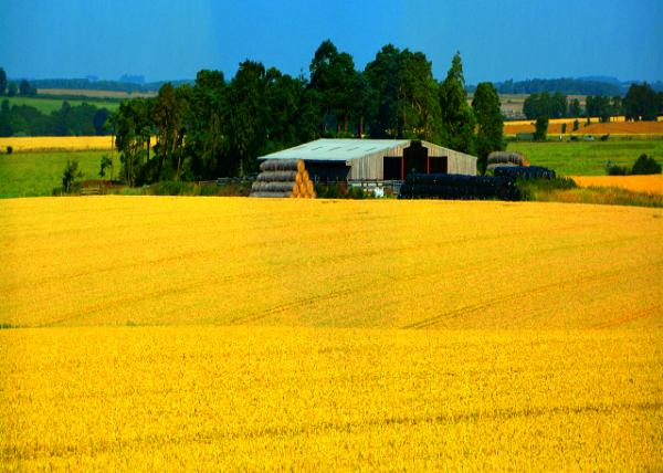 2016-07-19_Countryside_Osis ����-10001.JPG