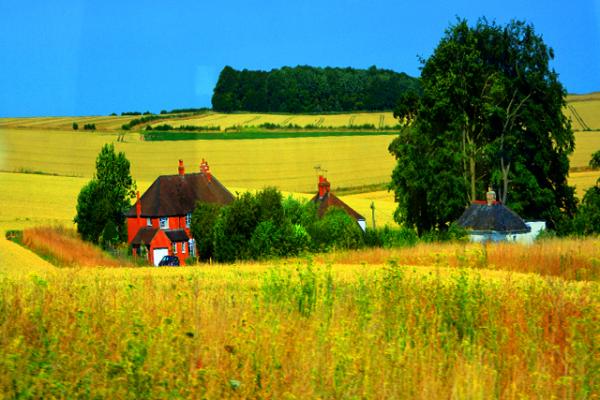 2016-07-19_Countryside_Cottage Home on the Ranch �����ϵļ�-20001.JPG