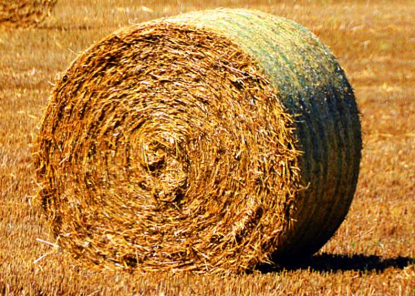 2016-07-19_Stacked Round Hay Bale-20001.JPG