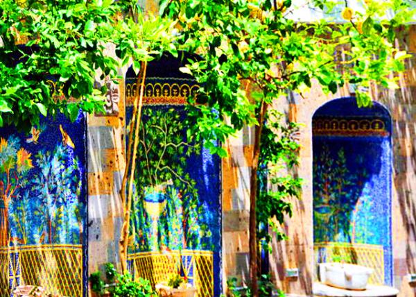 2015-06-14_Lemon Trees ������0001.JPG