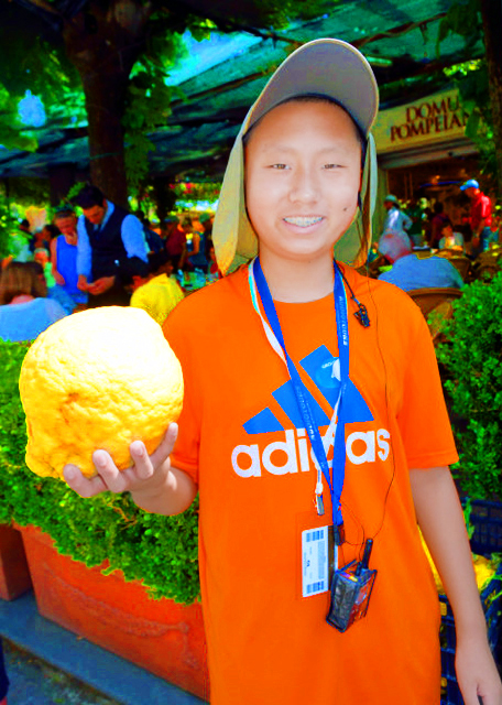 2015-06-14_Head-Sized Lemon �Թϴ�С������-10001.JPG