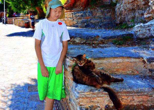 2015-06-16_Come across a Cat.jpg