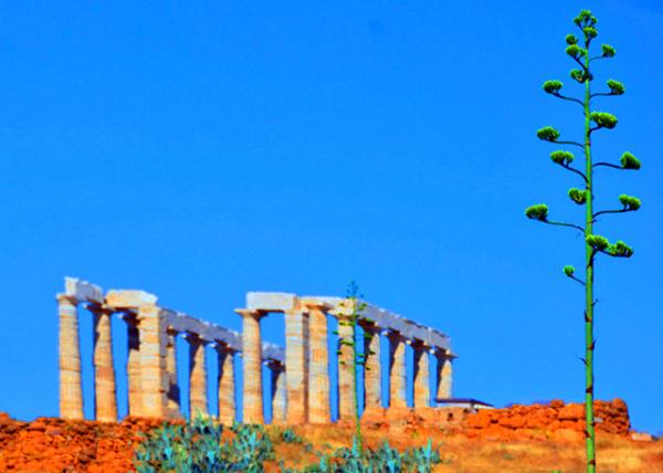 2015-06-20_Temple of Poseidon w Agave ������������������0001.JPG