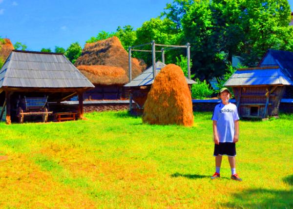 2015-06-24_Dimitrie Gusti National Village Museum_Berbesti Household 1775 ������ʲ������-20001.JPG