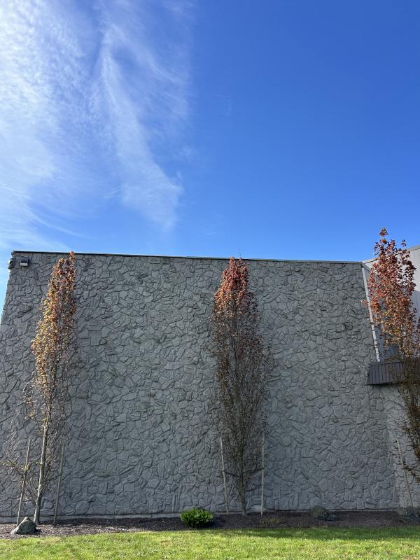 IMG_5182 (自定义).JPG