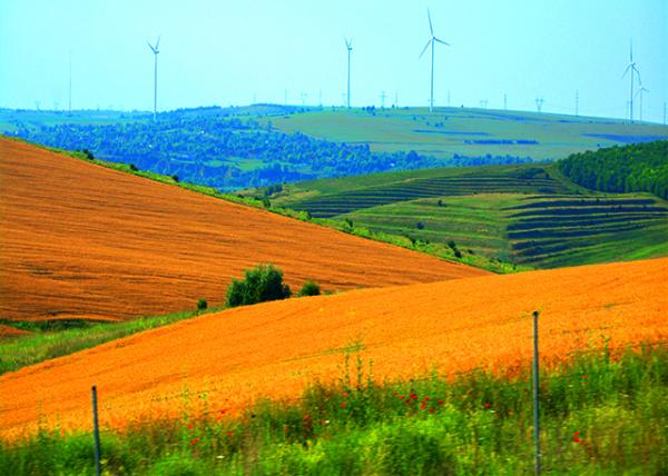 2015-06-24_Farm_Field ũ��-20001.JPG