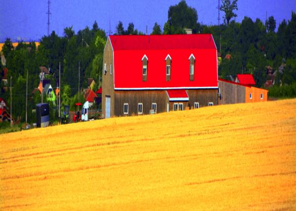2015-06-24_Farm_Barn House on the Prairie ��ԭ��԰-10001.JPG