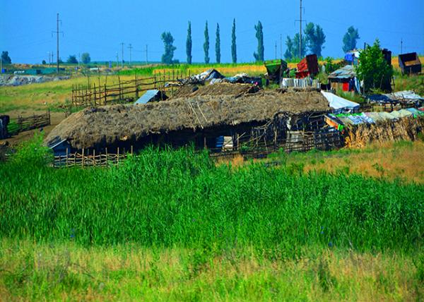 2015-06-24_Farm_Bullpen ţȦ-20001.JPG