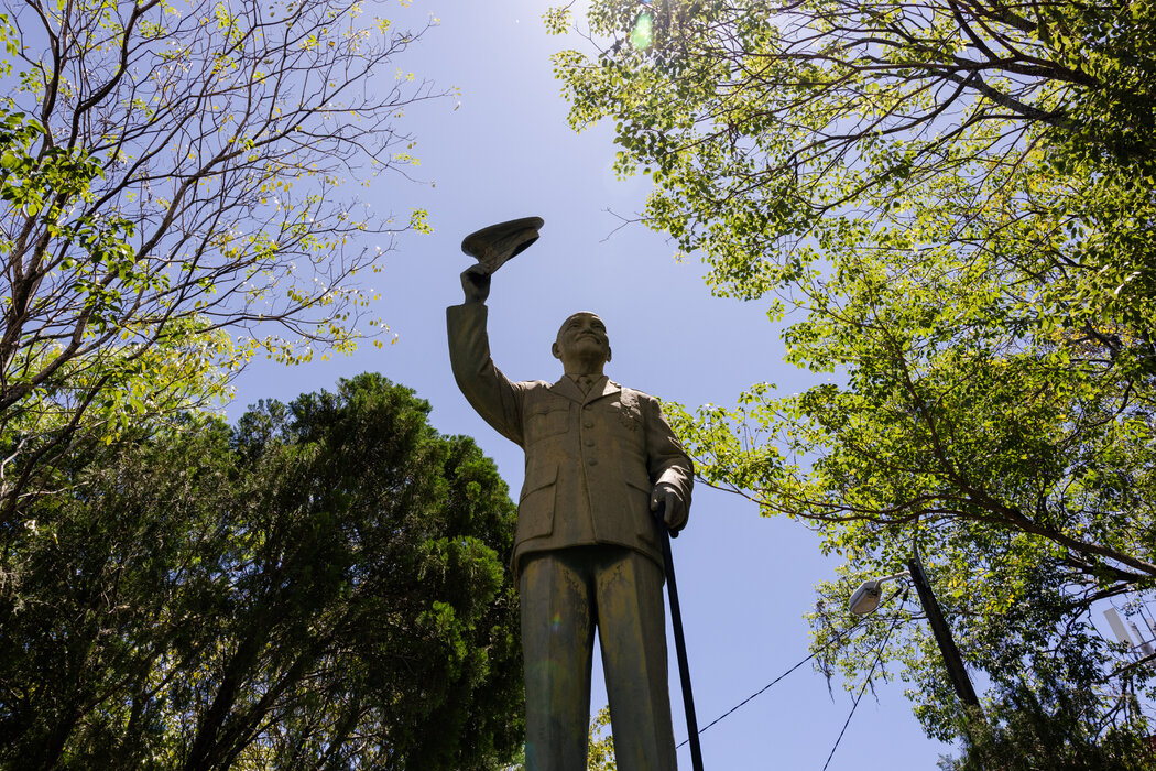 �����灆��ɭ�е����A������y�Y��ʯ����