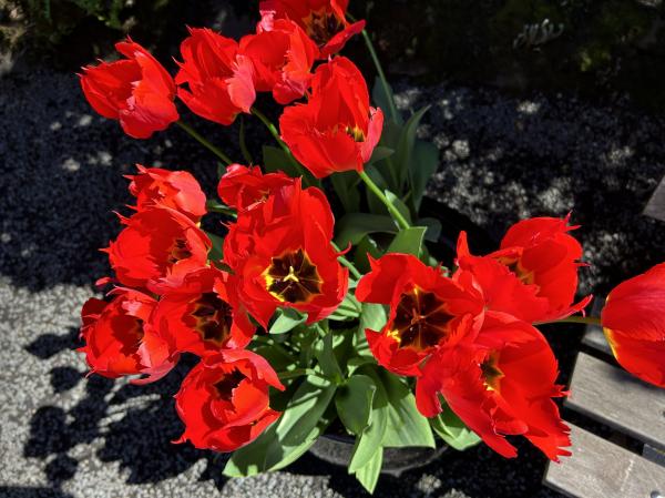 0 IMG_4541 (自定义).JPG