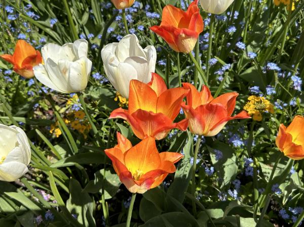 0 IMG_4614 (自定义).JPG