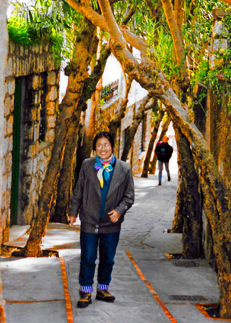1996-01-10_Capri_Dark Hedges or Tunnel-like Avenue of Intertwined Beech Trees �ڰ�����0001.JPG