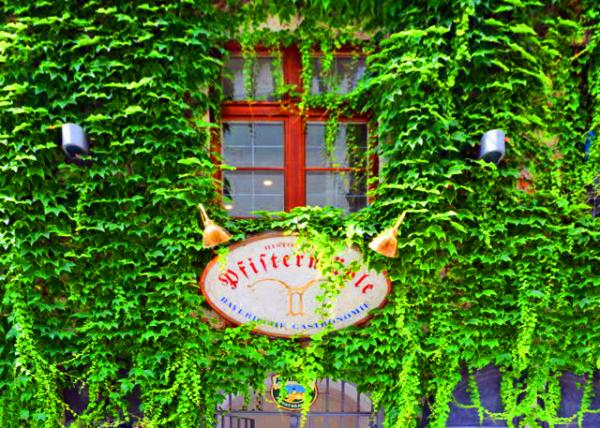 2017-07-03_Restaurant_Pfisterm��hle ��˹��ĥ���ƹ�-10001.JPG