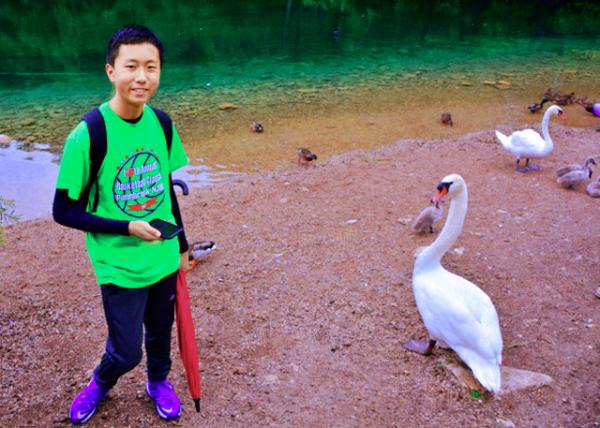 2017-07-02_Alpsee_Swans-10001.JPG