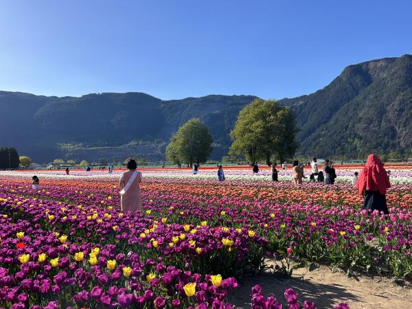 0 IMG_5049 (自定义).JPG