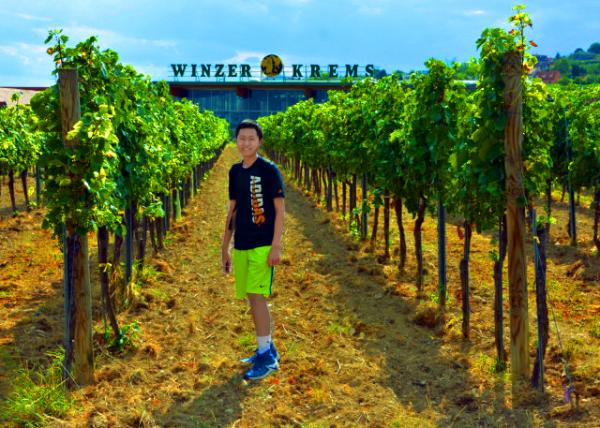 2017-07-08_Vineyard-10001.JPG