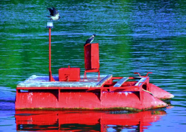 2017-07-10_Danube_Red Floating Pontoon 0001.JPG