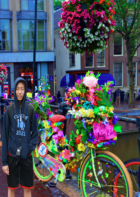 2017-08-15_Bridge_Flower Bike @ Torensluis ��¥բ�š�����-10001.jpg