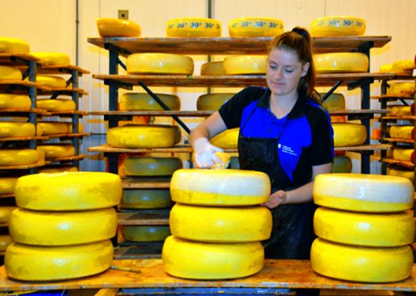 2017-08-17_Farm_Cheese Coating ����Ϳ��0001.JPG