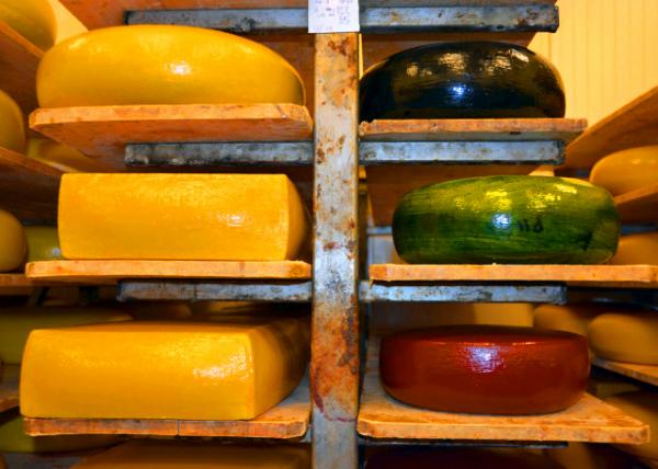 2017-08-17_Farm_Cheese Ripening ���ҳ���-20001.JPG