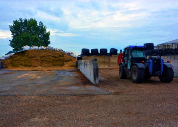 2017-08-17_Farm_Hay Bales �ɲ�0001.JPG