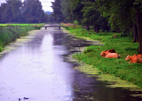 2017-08-17_Farm_Livestock Farming ����ҵ-20001.JPG