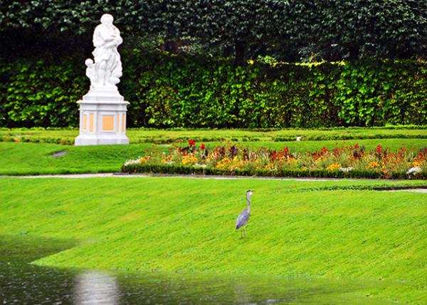 05_2017-08-18_Gardens_Heron ��-10001.JPG