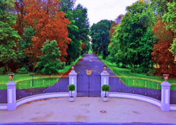 03_2017-08-18_Falkenlust_Schlosspark �Ǳ���԰-20001.JPG