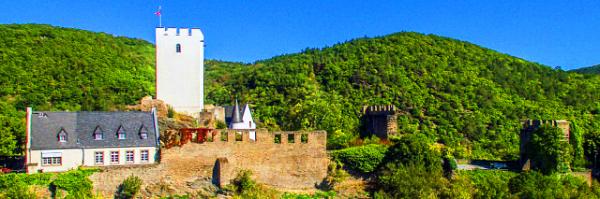 04_2017-08-19_Kamp-Bornhofen_Sterrenberg Castle @ Rheinkilometer 567 ��ɽ��0001.JPG