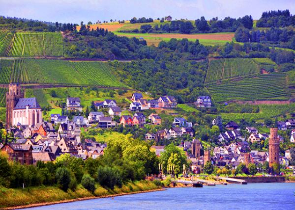 11_2017-08-19_Oberwesel_St Martin��s Parish Church & Ochsenturm (Ox Tower) ʥ��������������ţ��-70001.JPG