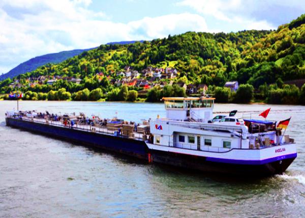 13_2017-08-19_Rheindiebach_Car Ferry �ϵϰͺա���������0001.JPG