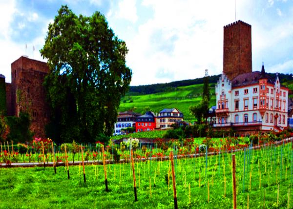 22_2017-08-19_Carl Jung Vineyards & Manor House �������ٸ�����԰��ׯ԰-40001.JPG