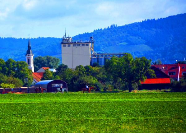 2017-08-20_Mannheim_Farm0001.JPG