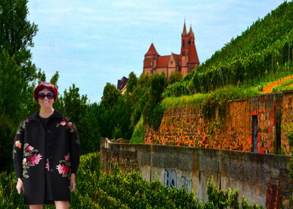 01_2017-08-22_St. Stephen's Cathedral over Old City Wall �ϳǸ���ʥ˹�ٷҴ����-10001.jpg
