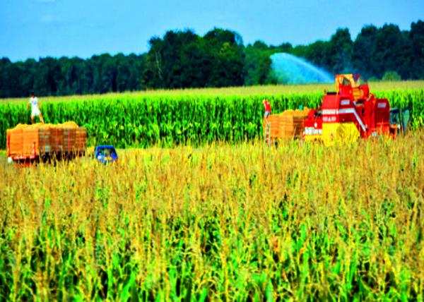04_2017-08-22_Farm_Irrigation ���0001.JPG