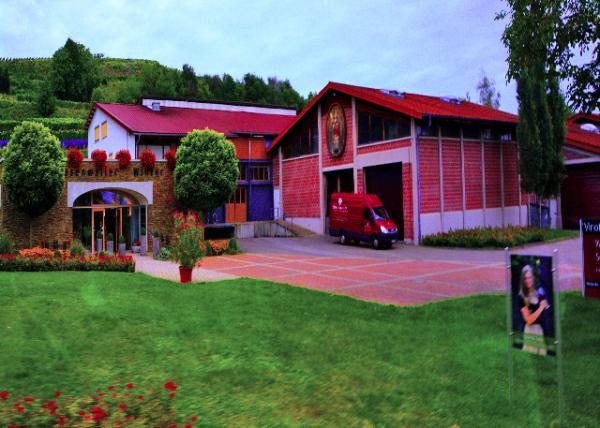 02_2017-08-22_Ihringen_Weinhaus Wasenweiler Winzer GmbH ��ɭΤ����Ƴ�-10001.JPG