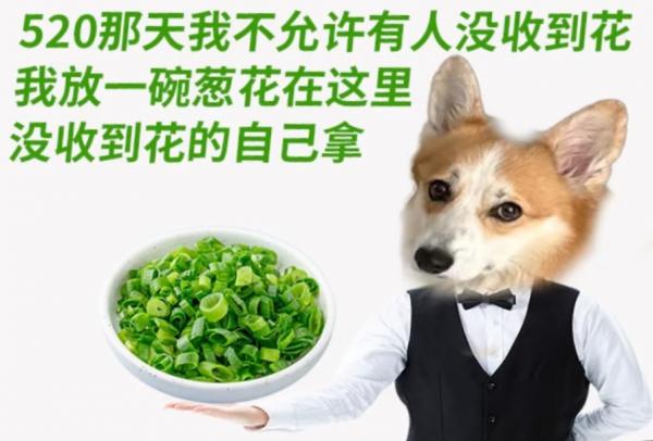 20260520_155110.jpg