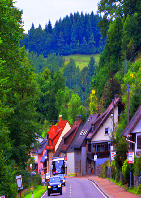 01_2017-08-22_Black Forest NP_Village ɽ��0001.JPG