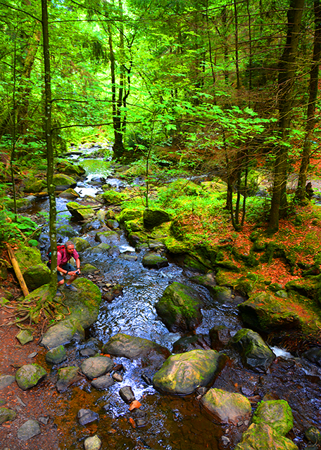 13_2017-08-22_Black Forest NP_Steam ɽ��Ϫ��-30001.JPG