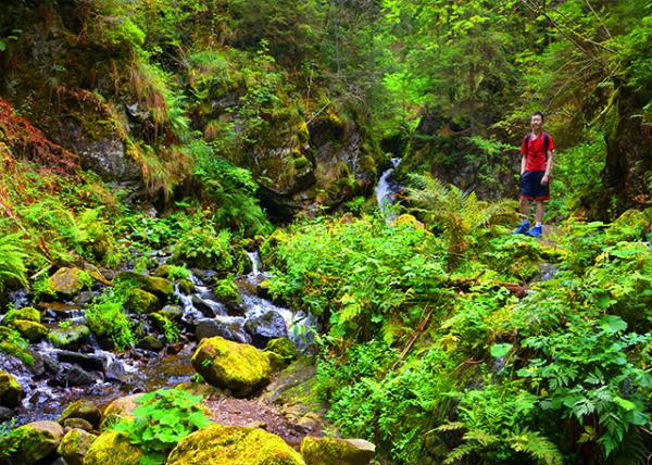 14_2017-08-22_Black Forest NP_Trail ��ɽС·-50001.JPG