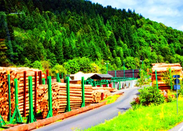 18_2017-08-22_Buchenbach_Dold Holzwerke -20001.JPG