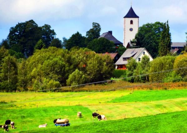 25_2017-08-22_Buchenbach_Parish Church ��������-20001.JPG