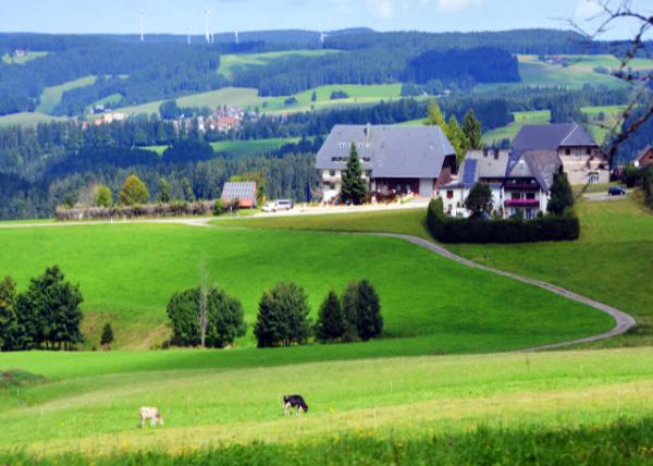 24_2017-08-22_Sankt Märgen_Home on the Ranch �����ϵļ�-30001.JPG